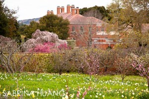 20120326Filoli119