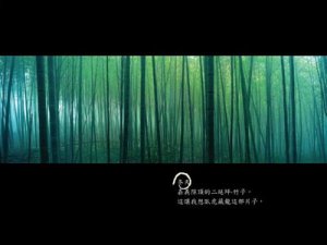 Bamboo