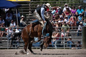 Rodeo-6