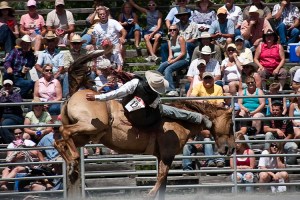Rodeo-4