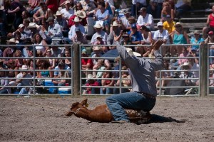 Rodeo-7