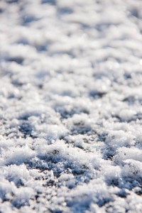 20091011_Philisburg_0026