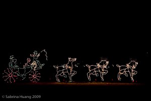 20091218_Christmas_Lights_0011