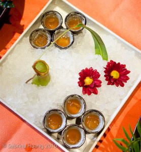 Shi-yang-16 Shi-yang-16