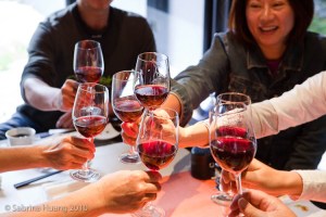 Shi-yang-25 Shi-yang-25