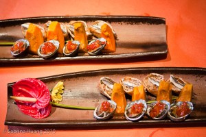 Shi-yang-12 Shi-yang-12