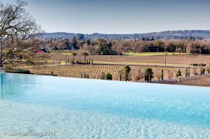 20110207Napa064_5_6 20110207Napa064_5_6