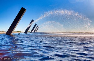 20110208Napa306_7_8 20110208Napa306_7_8