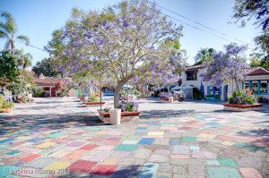 20110520BalboaPark022