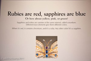 20110520BalboaPark015