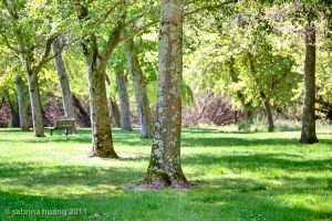 20110503Mendocino002