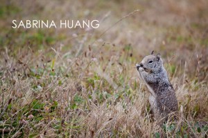 20110712Mendocino137