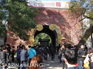 Mountain-8 Mountain-8