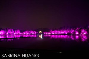 Hangzhou-17
