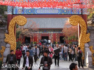 Mountain-15 Mountain-15