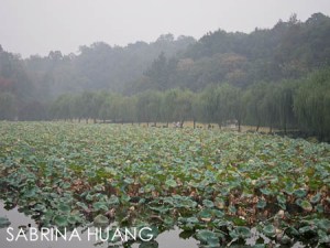 Hangzhou-22