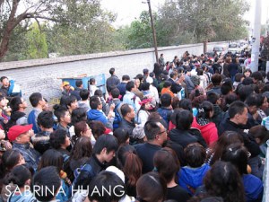 Mountain-24 Mountain-24