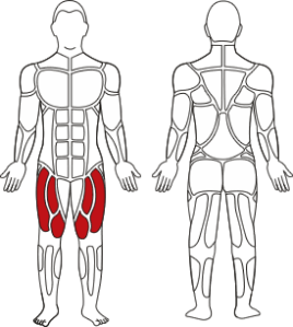 Leg-extension2 Leg-extension2