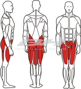 Leg-press2 Leg-press2