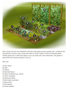 Screen Shot 2012-06-07 at 8.29.51 AM