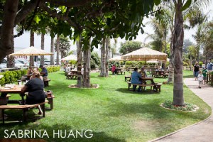 20120709padaro-grill001