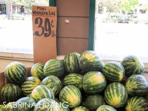 20120805MilkPail018 20120805MilkPail018