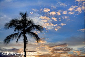 Tropica-10