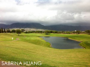 Sunrise-15 Sunrise-15