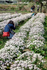 20121109Taiwan058_59_60