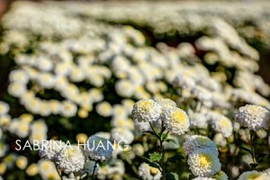 20121109Taiwan001_2_3