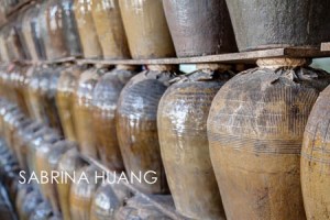 20121109Taiwan095_6_7