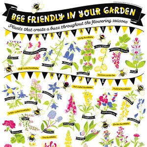 Bee_poster-600x600-crop Bee_poster-600x600-crop