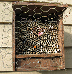 BeeBox-Wire BeeBox-Wire