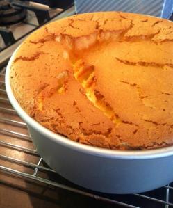 992869_10151750621790625_1555855579_n