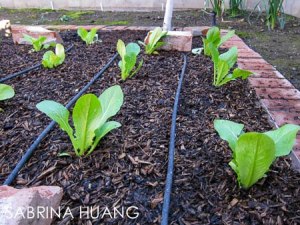 488112_10151518149785625_1618825989_n 488112_10151518149785625_1618825989_n