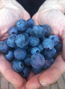 971359_10151704380970625_66265742_n 971359_10151704380970625_66265742_n