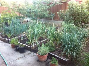 260302_10151694711525625_417298626_n 260302_10151694711525625_417298626_n