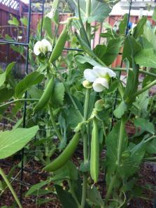 6678_10151624459250625_1466644563_n 6678_10151624459250625_1466644563_n