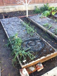 394900_10151423603800625_1864185268_n 394900_10151423603800625_1864185268_n