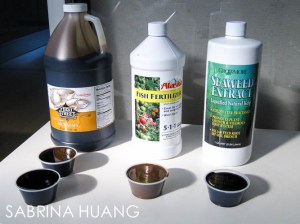 20130729Compost Tea004