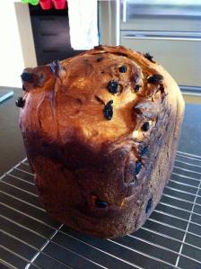 1045041_10151827903355625_295569472_n 1045041_10151827903355625_295569472_n