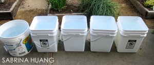 20130729Compost Tea006