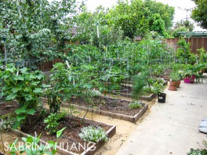 20130722Farm Share006