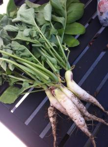 1070100_10151817764195625_2121417413_n