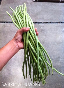 20130823Gardening001