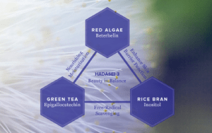 Screen Shot 2013-09-01 at 8.26.31 AM