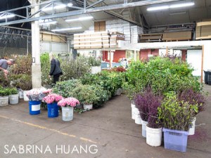 20140321FlowerMartket005