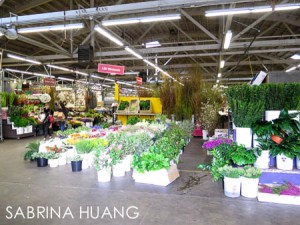 20140321FlowerMartket010