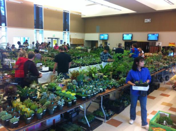 10639470_10152820460290625_1280183239041223933_n