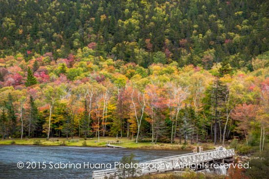 20151006_FallColor-515